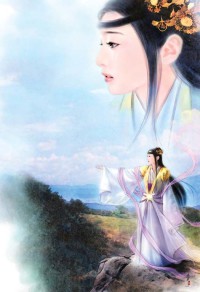 天道之玄天九华
