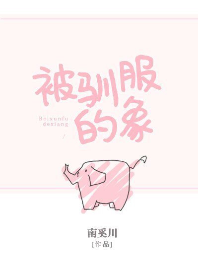 被馴服的象